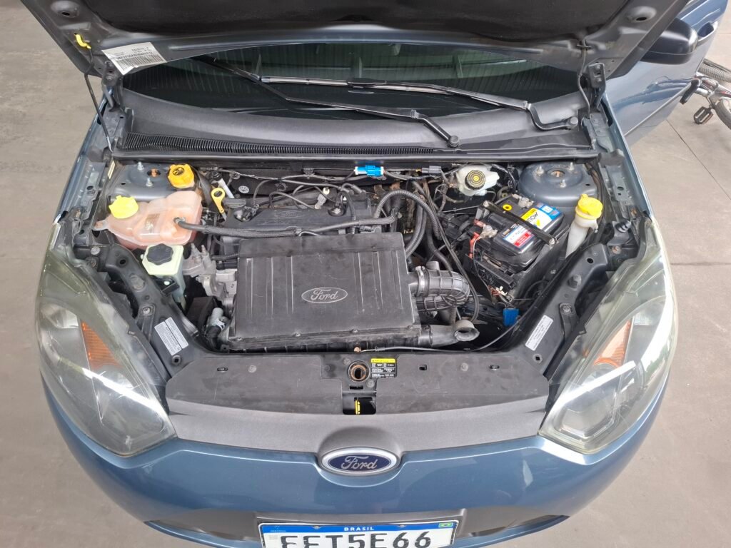 1000087331